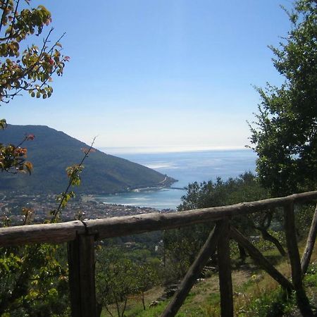 Casa Vacanze Cilento Torraca Dış mekan fotoğraf